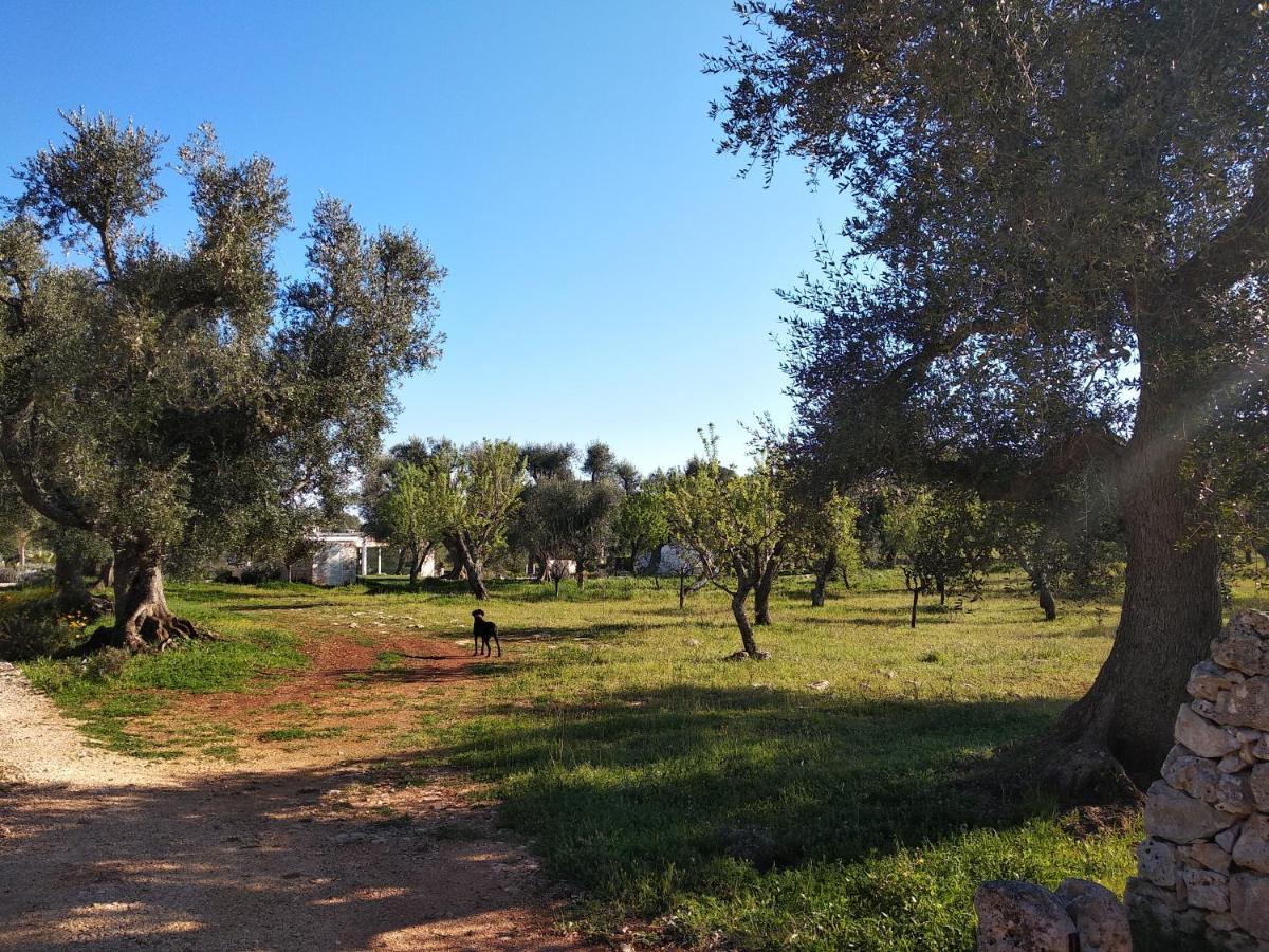 Piccolo Trullo Ostunese Le Jardin De Sophie' ออสตูนี ภายนอก รูปภาพ