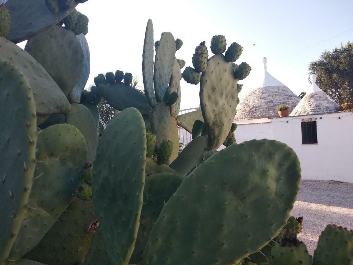 Piccolo Trullo Ostunese Le Jardin De Sophie' ออสตูนี ภายนอก รูปภาพ